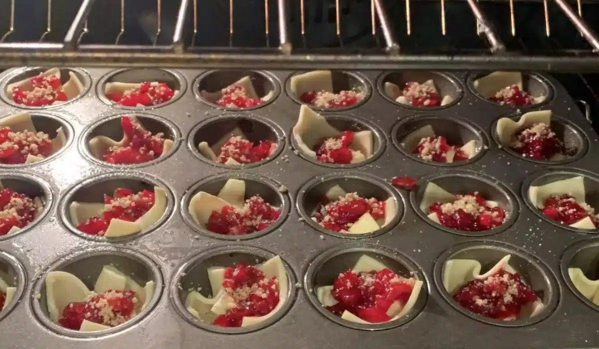 Cranberry Brie Bites Recipe